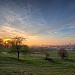 Photo for the post Greenwich Park